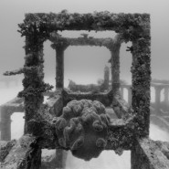 Выставка «Подводные пейзажи» фотографии