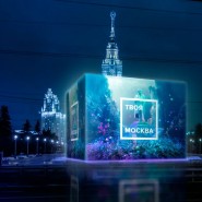 Городской медиафестиваль «Твоя Москва» 2021 фотографии