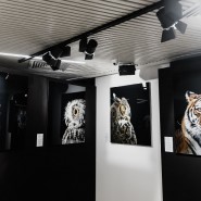 Выставка портретов диких животных «Affinity» фотографии