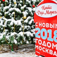 Почта Деда Мороза в парках Москвы 2017 фотографии