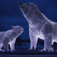 Световая инсталляция «Полярные медведи» 2021-2022 фотографии