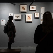 Выставка «БОСХ, ДЮРЕР, ДАНТЕ. Тайны земных наслаждений» фотографии