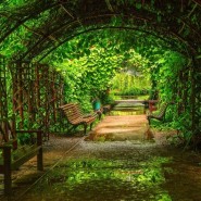 Ботанический сад МГУ «Аптекарский огород»  фотографии