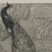 Фото: darwinmuseum.ru