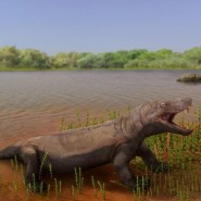 Фото: darwinmuseum.ru