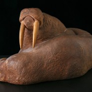 Фото: darwinmuseum.ru