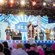 Фестиваль «Ледовая Москва. В кругу семьи» 2025-2026 фотографии