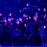 Шоу балет Тодес «Танцуем любовь» 2022 фотографии