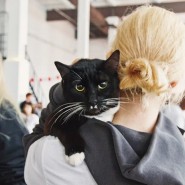 Фото: yunacenter.ru