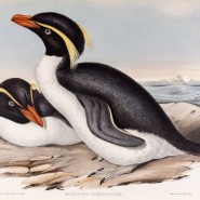 Фото: darwinmuseum.ru