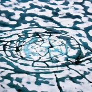 Выставка «Чистая Арктика Себастьяна Коупленда» фотографии