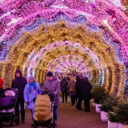 Топ-10 лучших событий в новогодние праздники в Москве 2020 фотографии