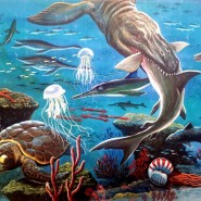 Фото: darwinmuseum.ru