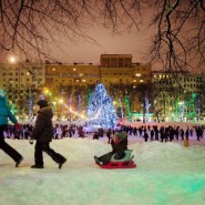 Новогодняя ночь 2016 в парках Москвы фотографии