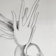 Фото: darwinmuseum.ru