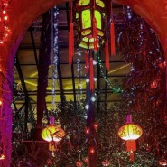 Фото: hortus.msu.ru