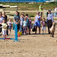 Экскурсии на ферму миниатюрных лошадок и мини-зоопарк фотографии