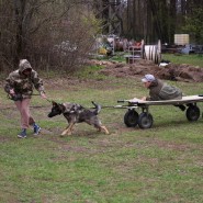 Военно-исторический фестиваль «Фронтовая собака» 2022 фотографии