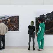 Выставка «Глаза, как блюдца» фотографии
