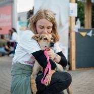 Фестиваль «Собаки, которые любят» 2022 фотографии