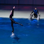 Мультипликационное «Шоу Воды» с участием морских животных в Москвариуме фотографии