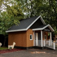 Бесплатный вход для детей в «Альпака Парк» на весенние каникулы 2026 фотографии