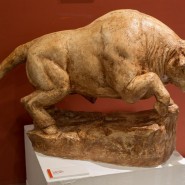 Фото: darwinmuseum.ru
