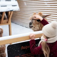 Новый год 2026 в Альпака Парке Сокольники фотографии