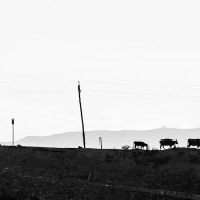 Фото: izmaylovo.vzmoscow.ru