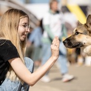 Фестиваль «Собаки, друзья и человеки» 2022 фотографии