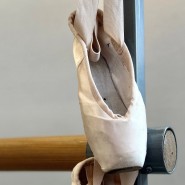 Фото: bogorodskoe.vzmoscow.ru