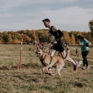 Кросс «Быстрый пес» 2019 фотографии