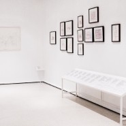 Выставка «Современная графика из собрания Центра Помпиду. Дар Флоранс и Даниэля Герлен» фотографии
