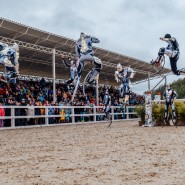 Новые открытия в мире конного спорта — Horseka Derby 2024 фотографии