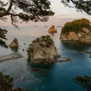 Фото: darwinmuseum.ru