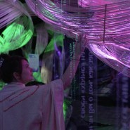 Иммерсивная мультимедиа выставка «SENSE. Почувствуй стихии» фотографии