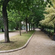 Парк «Новодевичьи пруды» фотографии