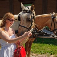 День лошади в Коломенском 2016 фотографии