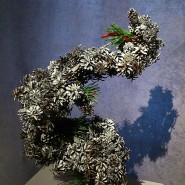 Выставка «Мимолётная красота природы в композициях икебана. Зима» фотографии