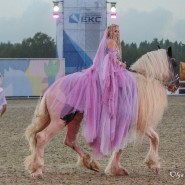 Конный фестиваль «Иваново поле» 2024 фотографии