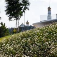 Проект «Волны цветения» в парке «Зарядье» 2022 фотографии