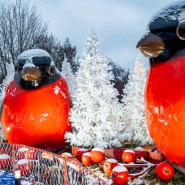 Фото: zima.mos.ru