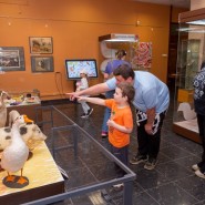 Фото: darwinmuseum.ru