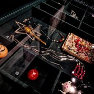 Фото: rosizo.ru