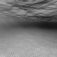 Выставка «Подводные пейзажи» фотографии