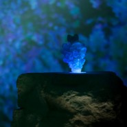 Фото: kholmy.vzmoscow.ru