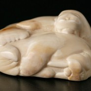 Фото: darwinmuseum.ru