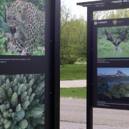 Фото: tsaritsyno-museum.ru
