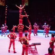 Цирковое шоу «Вероятно невероятная сказка» фотографии