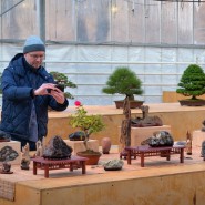 Экспозиция японских искусств в «Аптекарском огороде» фотографии